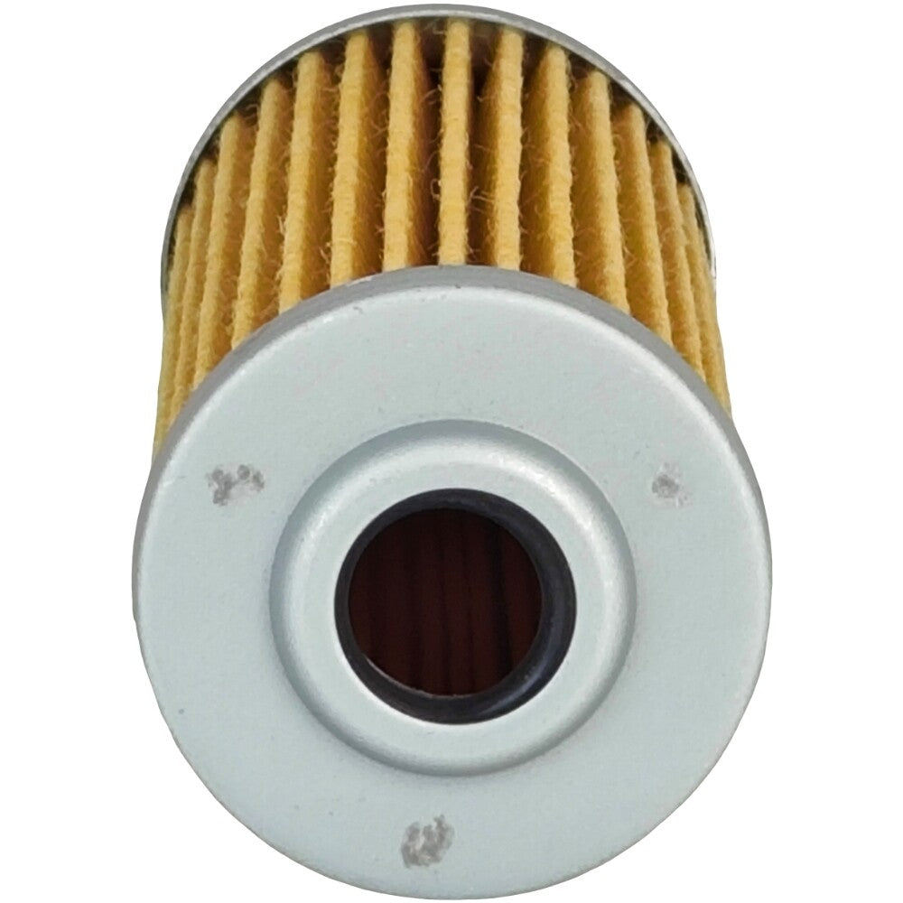 2X Fuel Filter for John Deere X940 X495 X595 X740 X744 X748 X749 X750 X754 X758