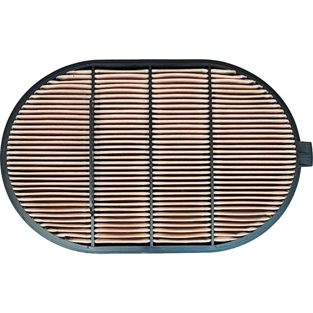2X Air Filter for Wix 49557 Donaldson P607557 87356547 Bell 226780