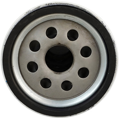 Fuel Filter Water Separator P553202 for Donaldson Spin-On Replacement