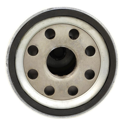 Hydraulic Filter Fit for Challenger MT295 MT285 Tractor