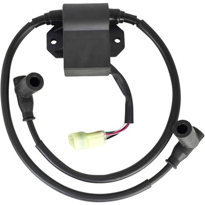 420965756 CDI Module Fit for Ski Doo Skandic II 377 F/C 139 1992-1993 420965757
